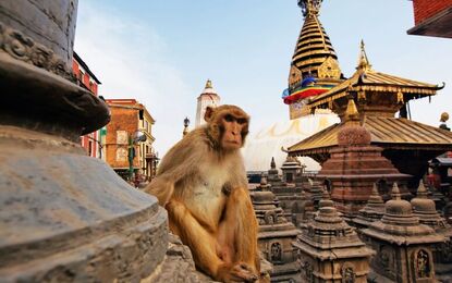 Bhutan & Nepal Turu THY ile 7 Gece