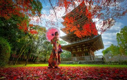 Büyük Japonya Turu All Nippon HY ile 6 Gece ( Light Paket )