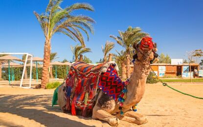 Promosyon Hurghada Turu Ajet HY ile 4 Gece