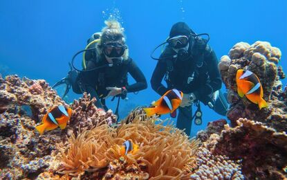 Sharm El Sheikh Turu Kızıldeniz Rotası THY ile 4 Gece 5 Gün