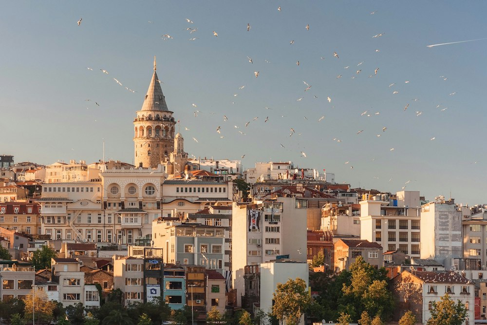İstanbul Bursa Söğüt Turu